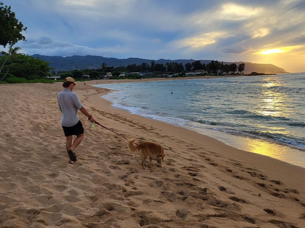 Housesitting mit Hund auf Hawaii
