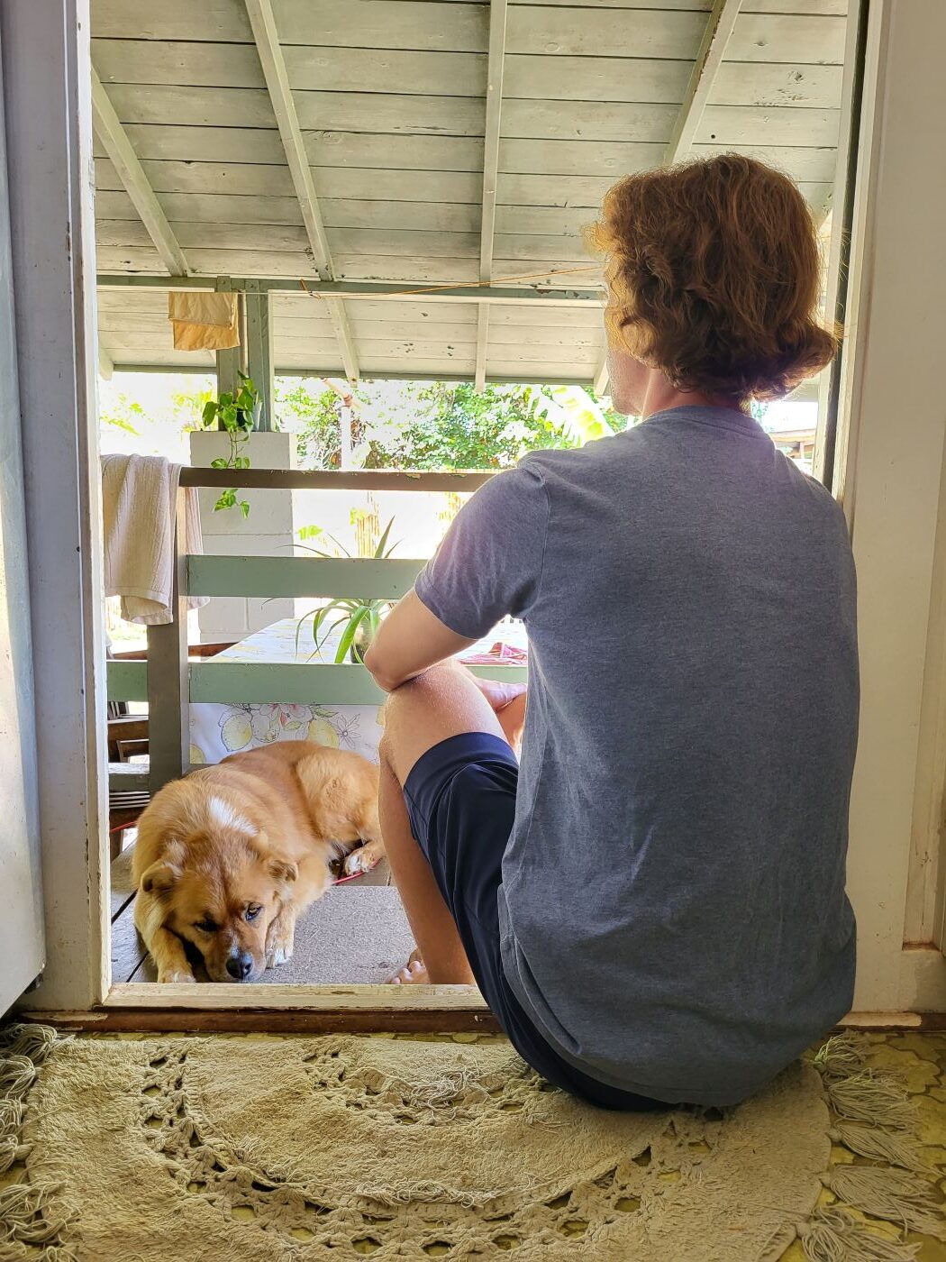 Housesitting auf Hawaii