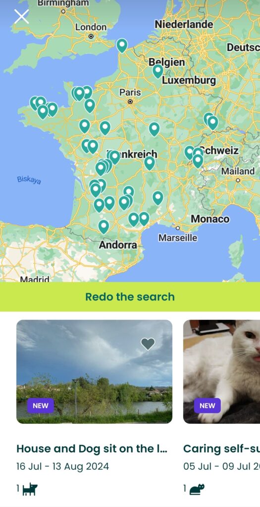 Suchticker anlegen bei Trusted Housesitters und die besten Angebote sehen