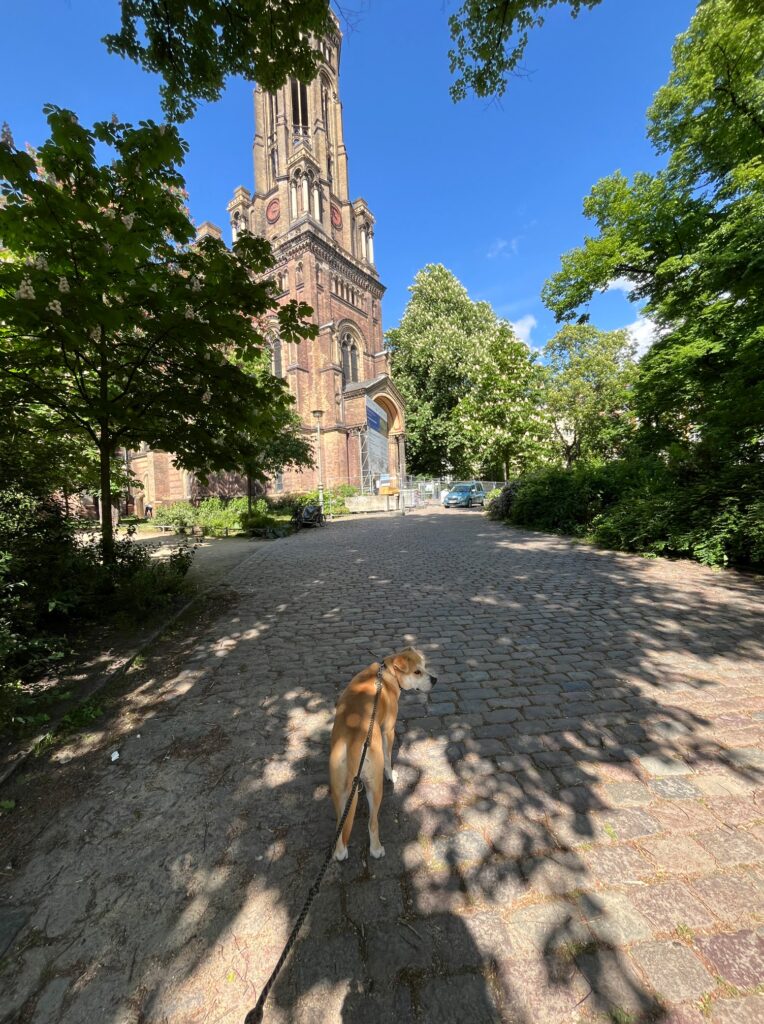 Gassi gehen beim Housesitting in Deutschland