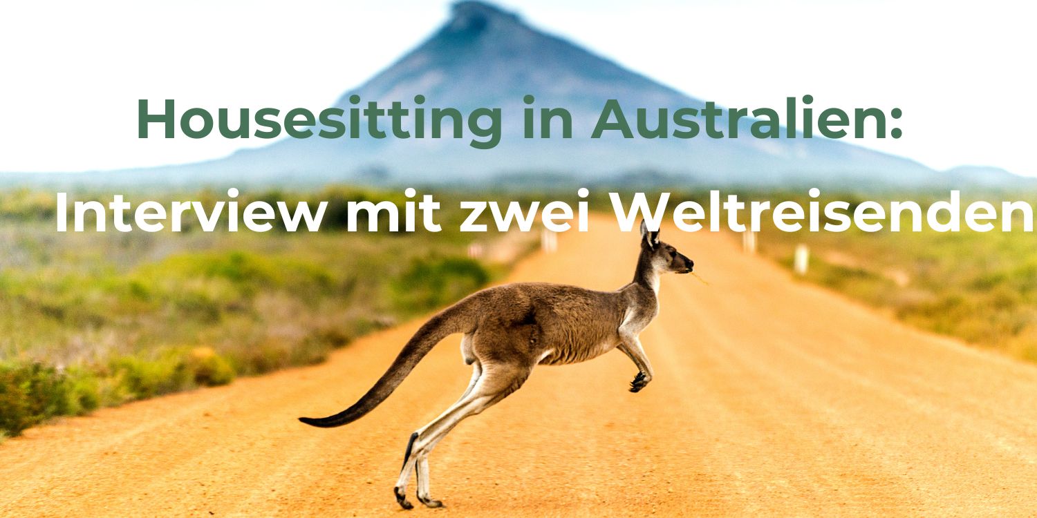 Housesitting in Australien: Interview und Erfahrungsbericht von zwei Weltreisenden