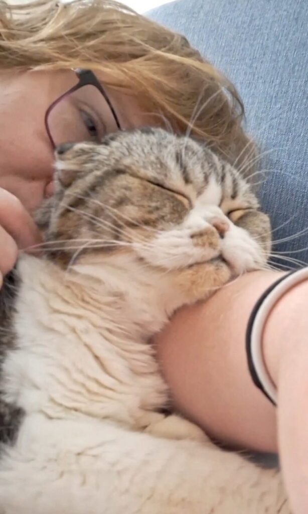 Julie mit Housesitting Kater Wilfred in Philadelphia, USA