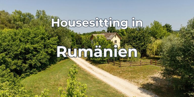 Housesitting in Rumänien: Jenny und Thomas berichten von ihren Erfahrungen