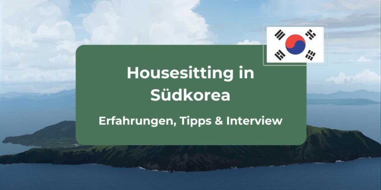 Housesitting in Südkorea (Jeju): Janna und Thomas berichten von ihren Erfahrungen