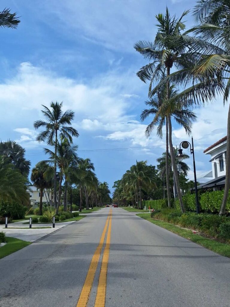 Straße mit Palmen in den USA