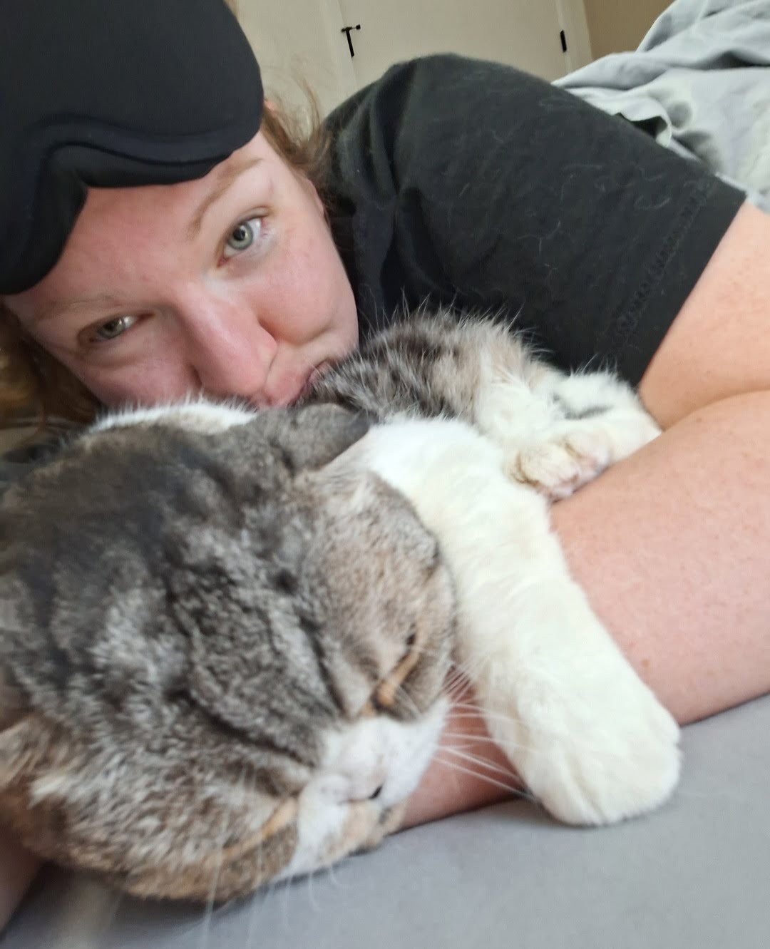 Julie beim Housesitting in den USA mit Kater Wilfred