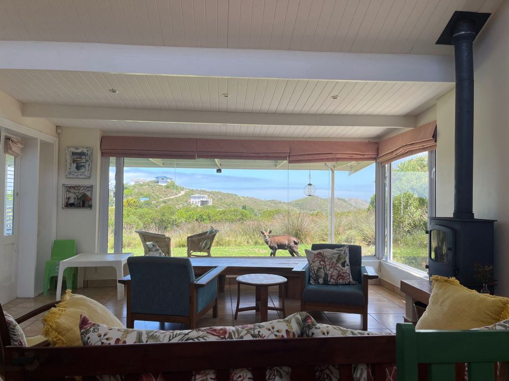 HomeExchange in Südafrika mit großer Fensterfront, davor wilde Tiere.