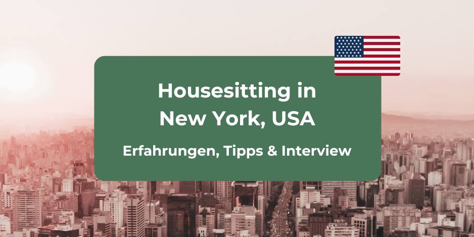 Interview: Housesitting in New York Erfahrungen & Tipps