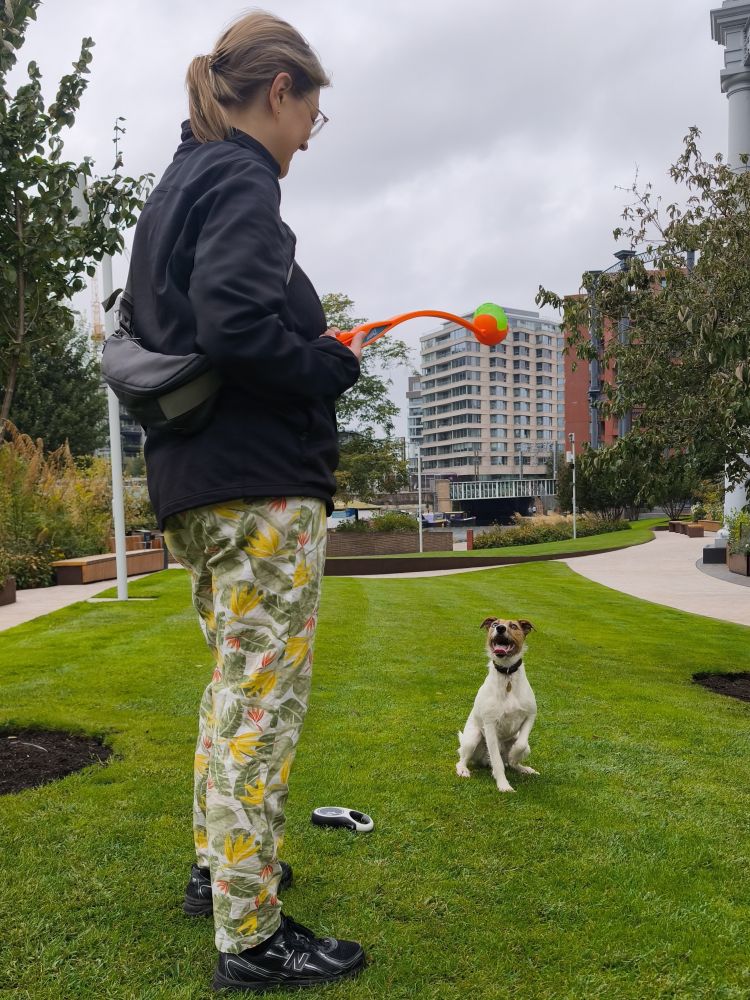 Diana mit Housesitting-Hund im Londoner Hundepark