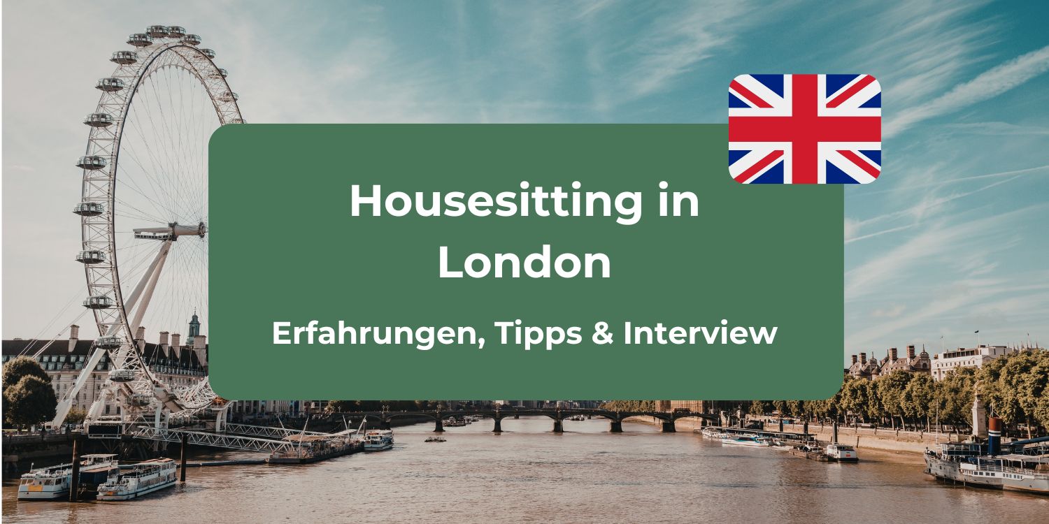 Housesitting in London: Erfahrungsbericht, Tipps & Interview