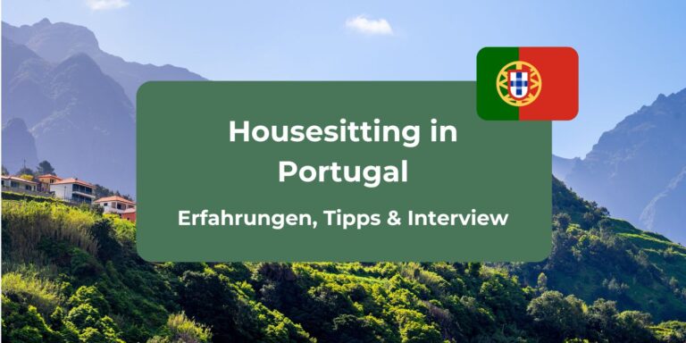 Interview: Housesitting in Portugal Erfahrungen & Tipps