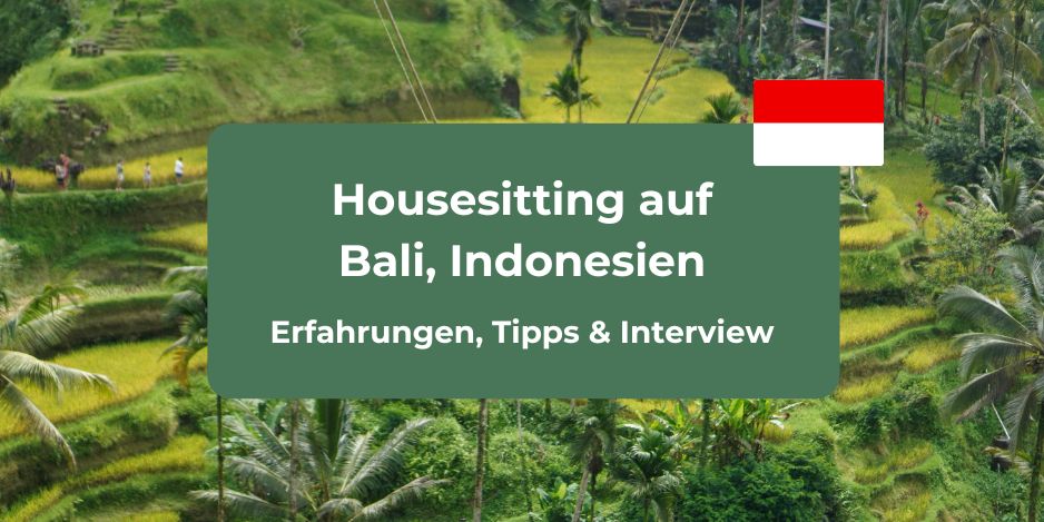 Housesitting auf Bali: Apu und Denise berichten von ihren Erfahrungen