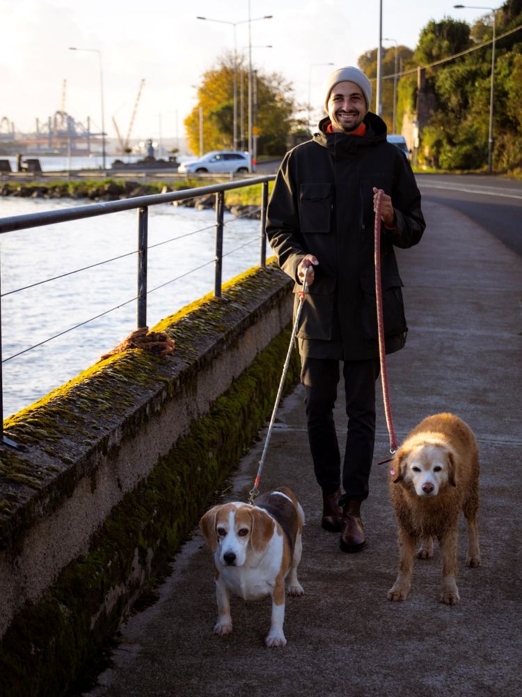 Housesitting in Irland: Gassigehen an der Küstenstraße