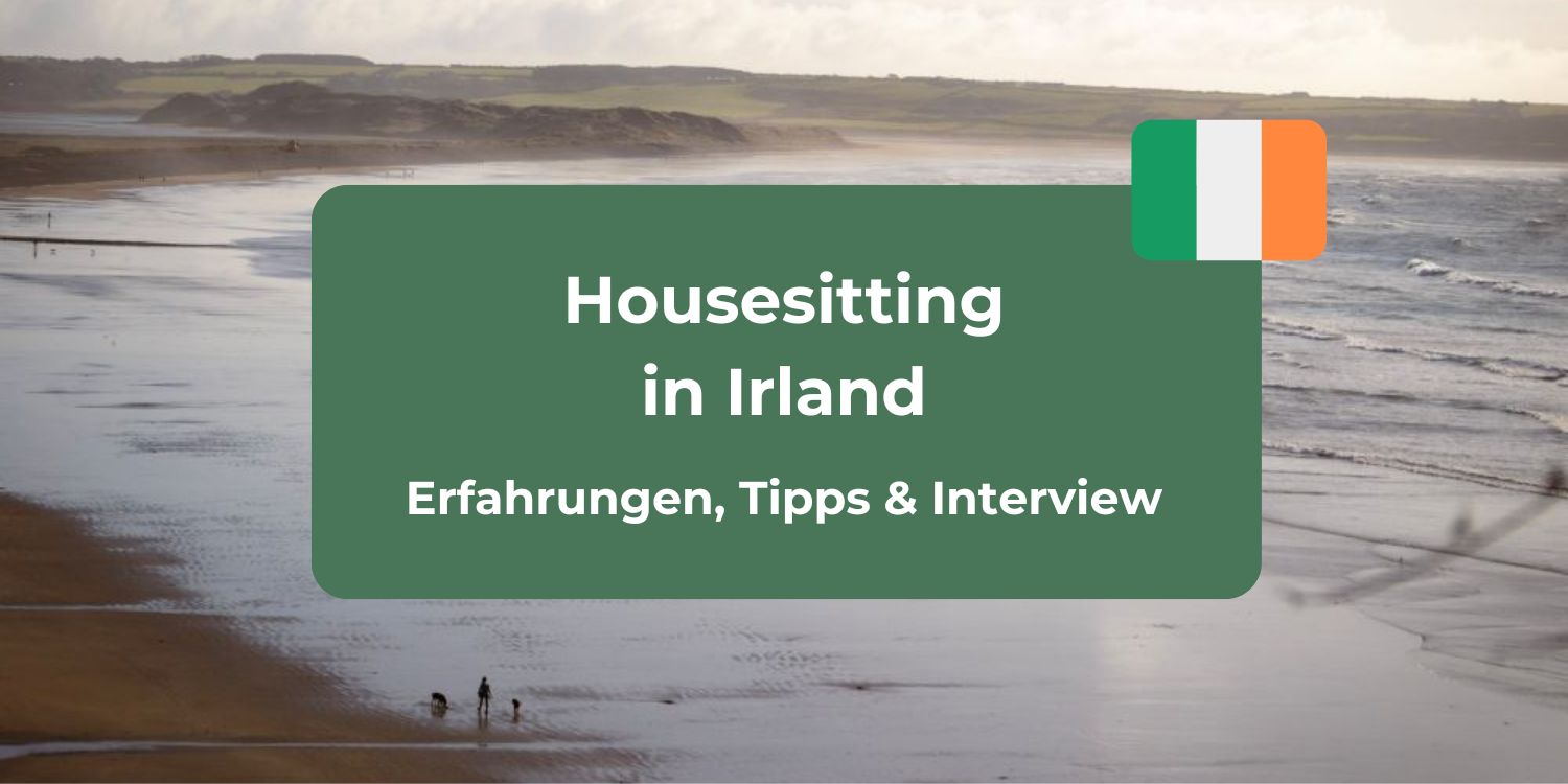 Housesitting in Irland: Lena & Philippe berichten von ihren Erfahrungen